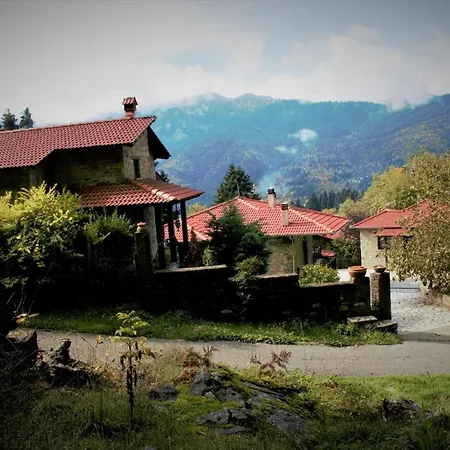 τα πέτρινα της ελάτης - Petrina Elatis