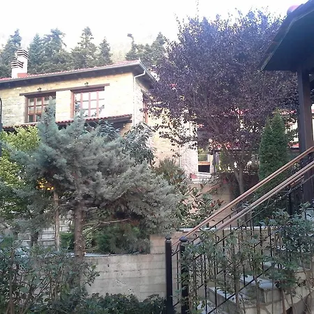 τα πέτρινα της ελάτης - Petrina Elatis