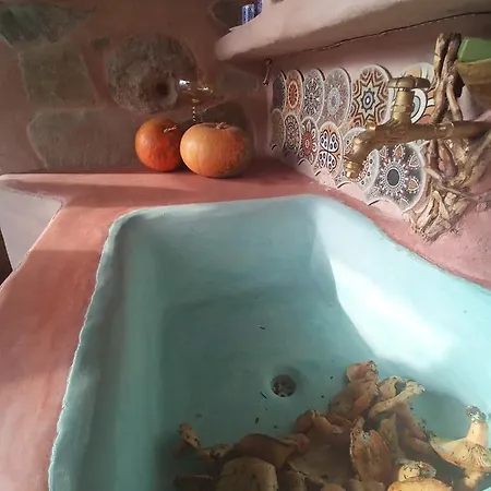 τα πέτρινα της ελάτης - Petrina Elatis *