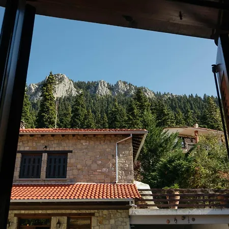 τα πέτρινα της ελάτης - Petrina Elatis Casa vacanze