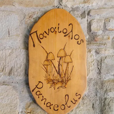 τα πέτρινα της ελάτης - Petrina Elatis Casa vacanze