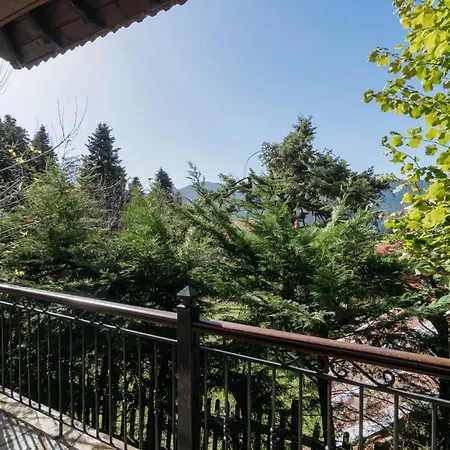 Дом отдыха τα πέτρινα της ελάτης - Petrina Elatis Elati (Trikala)