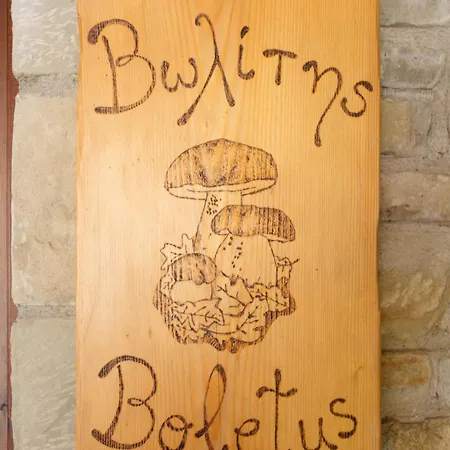 Casa vacanze τα πέτρινα της ελάτης - Petrina Elatis Eláti