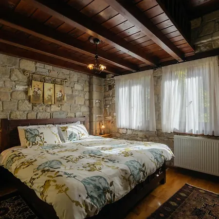 τα πέτρινα της ελάτης - Petrina Elatis Holiday home *