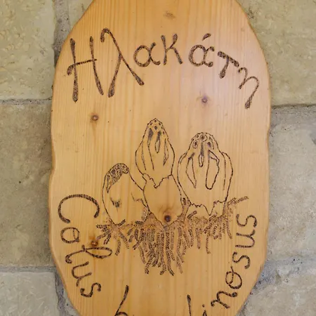 τα πέτρινα της ελάτης - Petrina Elatis *