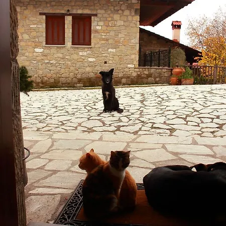 τα πέτρινα της ελάτης - Petrina Elatis Elati (Trikala)