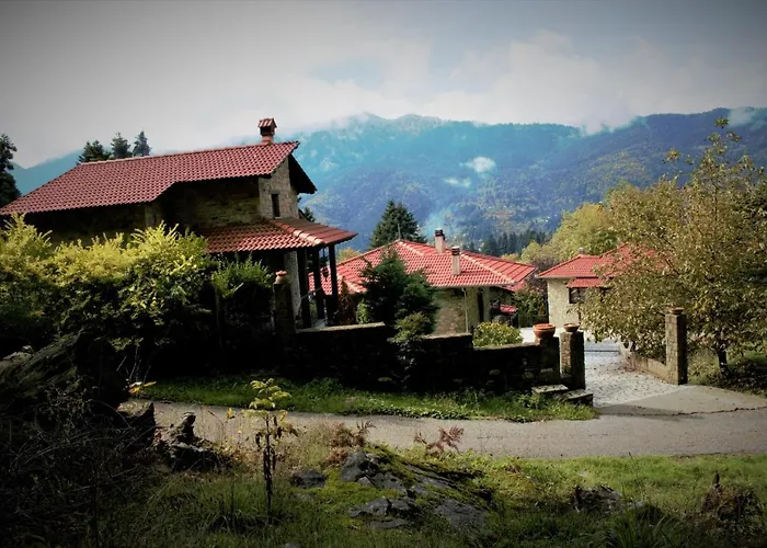 τα πέτρινα της ελάτης - Petrina Elatis