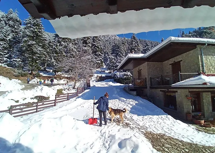 τα πέτρινα της ελάτης - Petrina Elatis Eláti