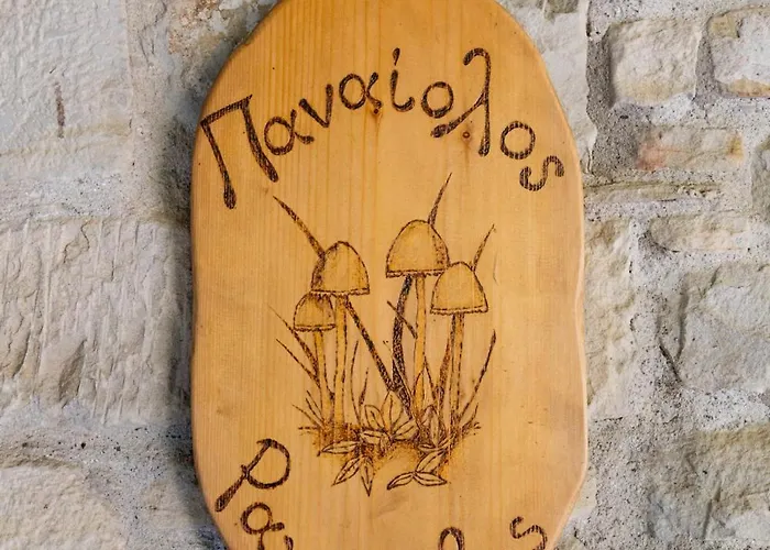 τα πέτρινα της ελάτης - Petrina Elatis Case de vacanță