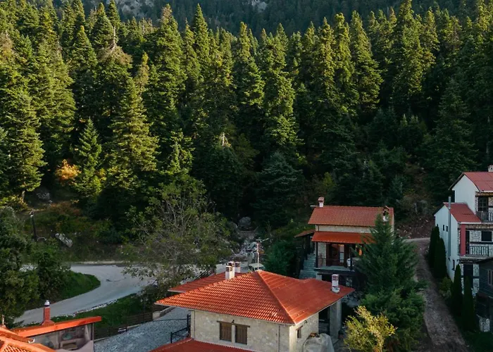 Case de vacanță τα πέτρινα της ελάτης - Petrina Elatis *