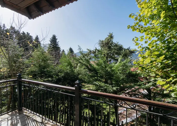 Case de vacanță τα πέτρινα της ελάτης - Petrina Elatis Eláti