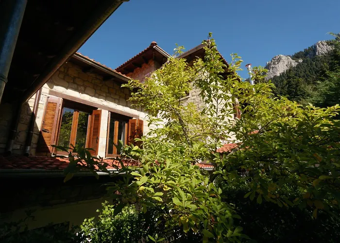 τα πέτρινα της ελάτης - Petrina Elatis Eláti