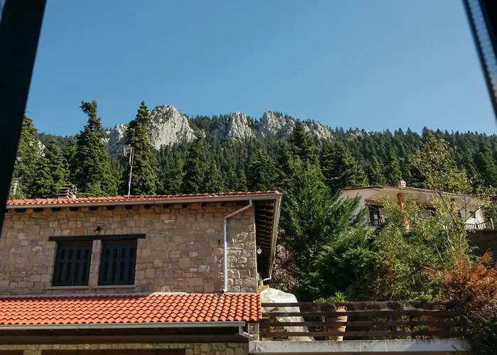 Case de vacanță τα πέτρινα της ελάτης - Petrina Elatis