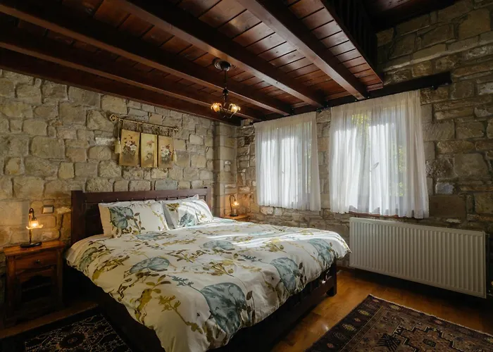 τα πέτρινα της ελάτης - Petrina Elatis Case de vacanță *