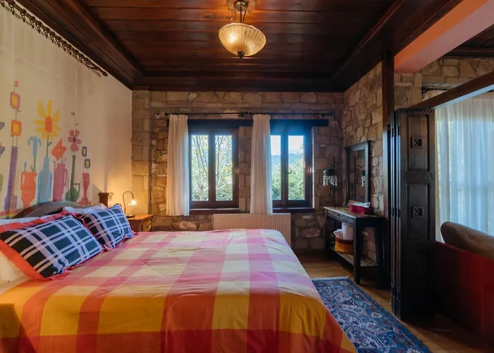 τα πέτρινα της ελάτης - Petrina Elatis Case de vacanță Eláti