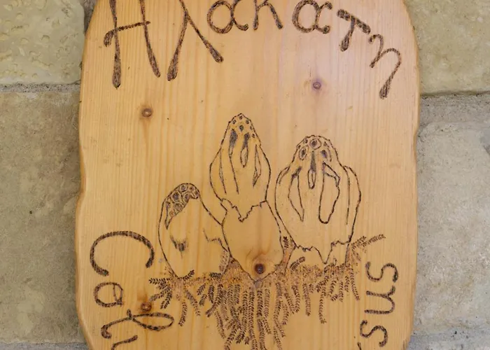 τα πέτρινα της ελάτης - Petrina Elatis *