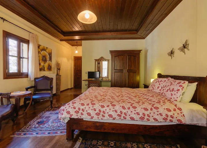 τα πέτρινα της ελάτης - Petrina Elatis Case de vacanță Eláti