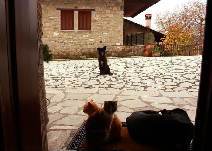 τα πέτρινα της ελάτης - Petrina Elatis Eláti